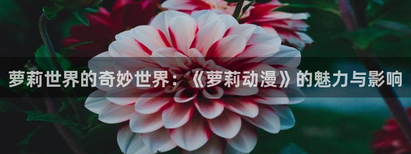 age翼动漫下载：萝莉世界的奇妙世界：《萝莉动漫》的魅力与影响配图