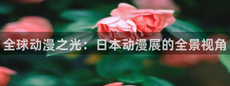 age动漫下载软件：全球动漫之光：日本动漫展的全景视角配图