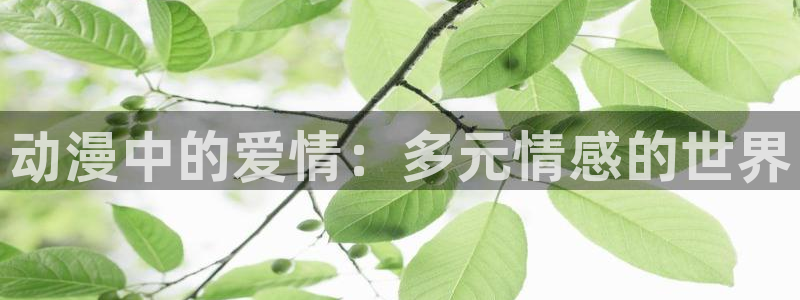 age动漫站下载：动漫中的爱情：多元情感的世界配图