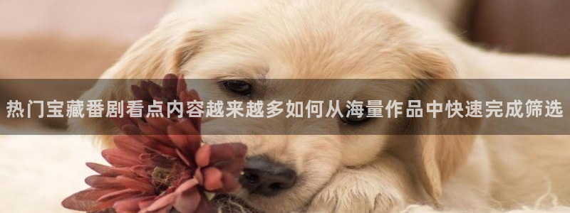 age动漫下载方法：热门宝藏番剧看点内容越来越多如何从海量作品中快速完成筛选配图