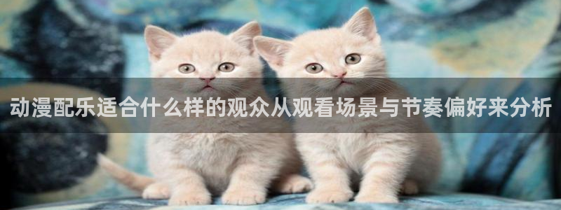 age 动漫下载:动漫配乐适合什么样的观众从观看场景与节奏偏好来分析配图