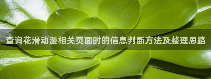 age 动漫怎么下载：查询花滑动漫相关页面时的信息判断方法及整理思路配图