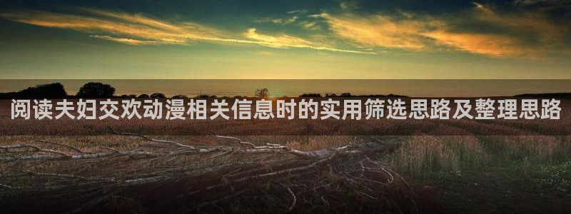 age动画动漫下载:阅读夫妇交欢动漫相关信息时的实用筛选思路及整理思路配图